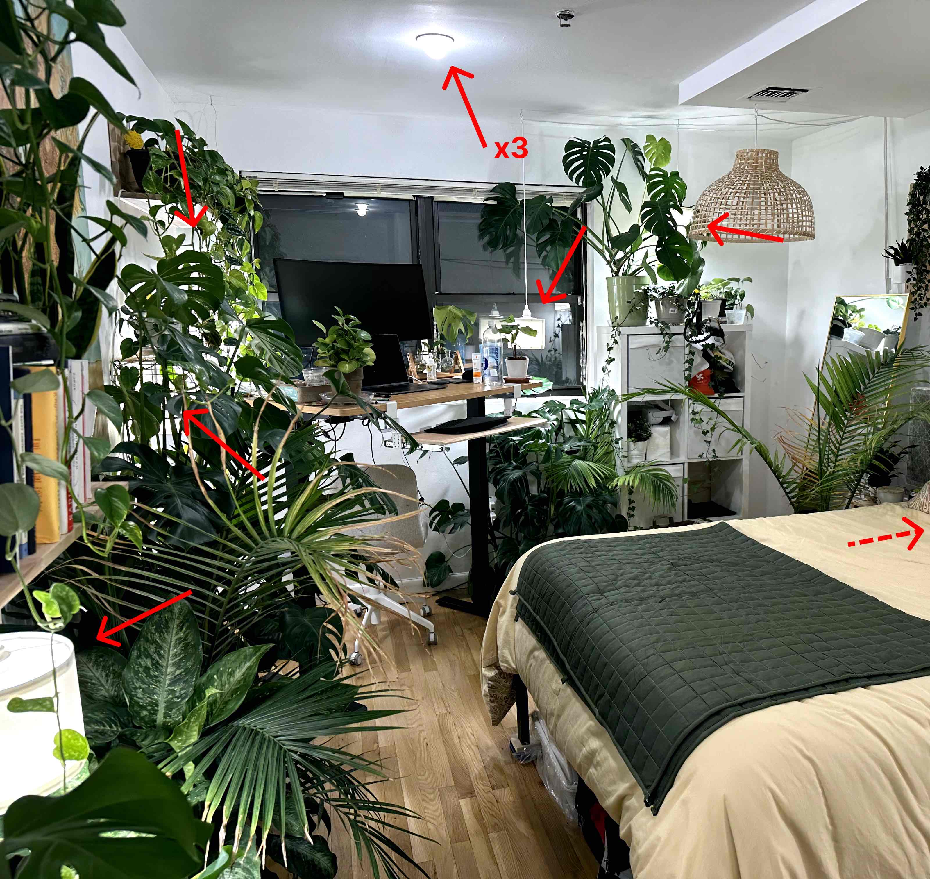 Room with 30 plants strewn about. Red arrows point to 7 light bulbs spread across the room.